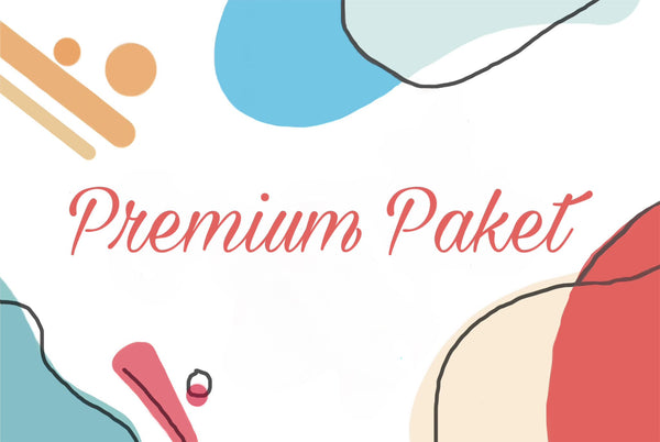 Beratungskiste Premium